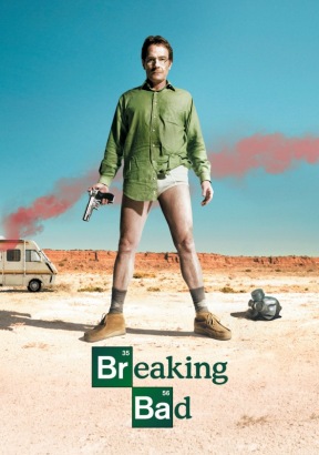 Breaking Bad season 1 Poster